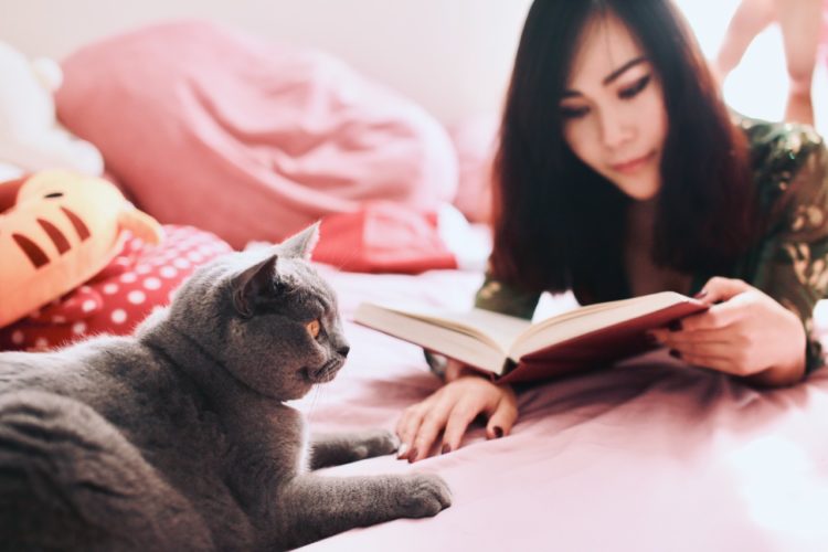 Katzensitterin liest ein Buch