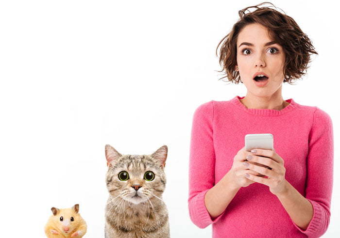 Frau Smartphone Katze Hamster Überraschung